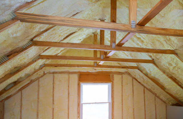 Best Insulation Maintenance and Repair in Jasper, FL